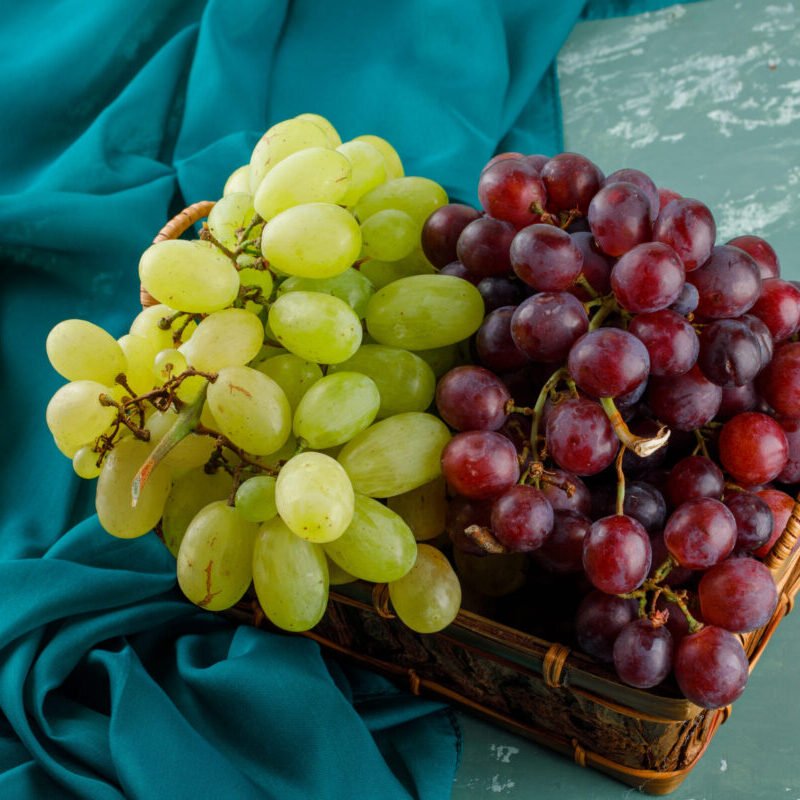 Agro%20Routes%20Exporters